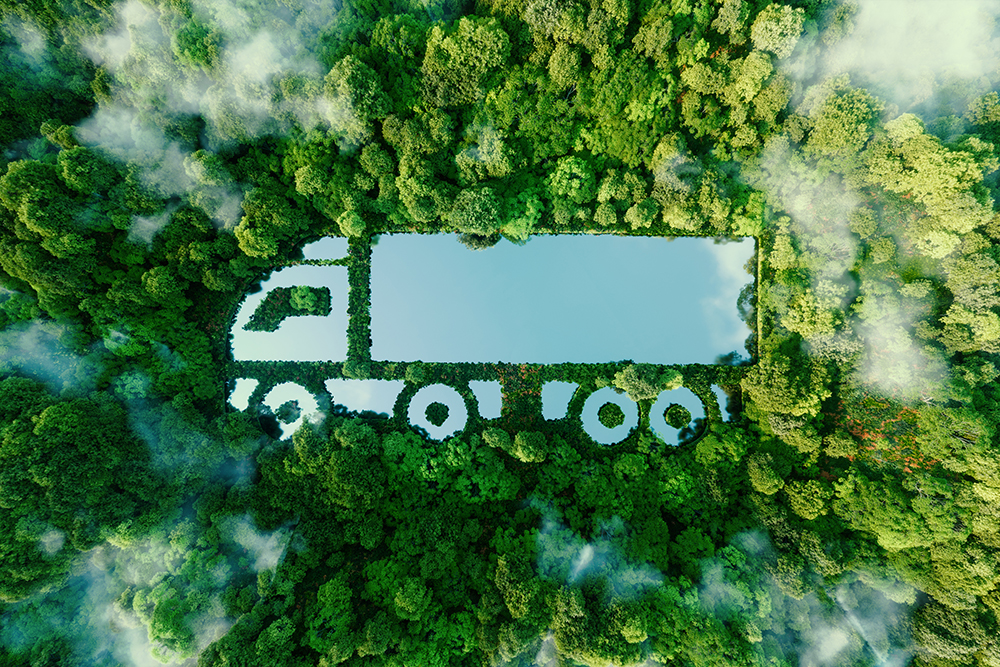 truck pattern in trees